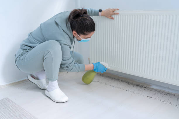 شركة مكافحة صراصير