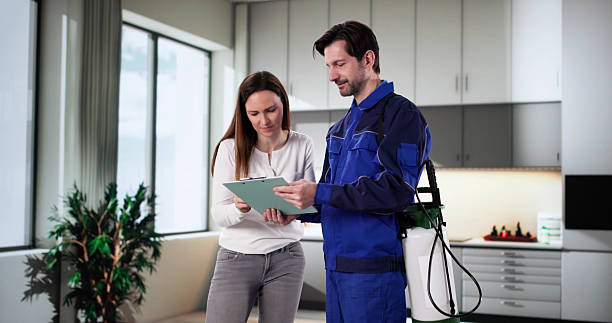 شركة مكافحة حشرات فى 15مايو